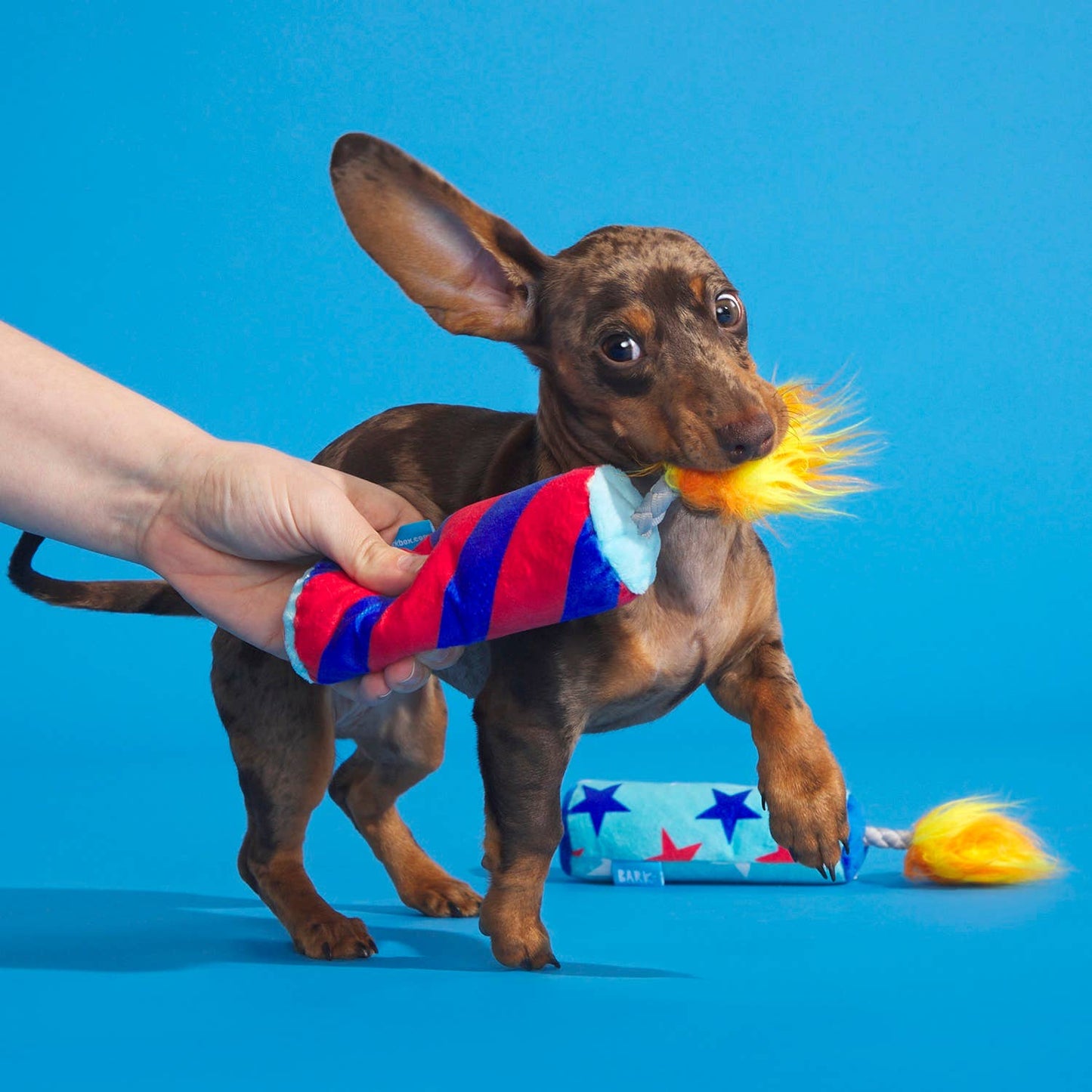 Pet Palette Distribution - BARK Pup-Pup Fireworks Fourth of July Plush Dog Toy Small Image