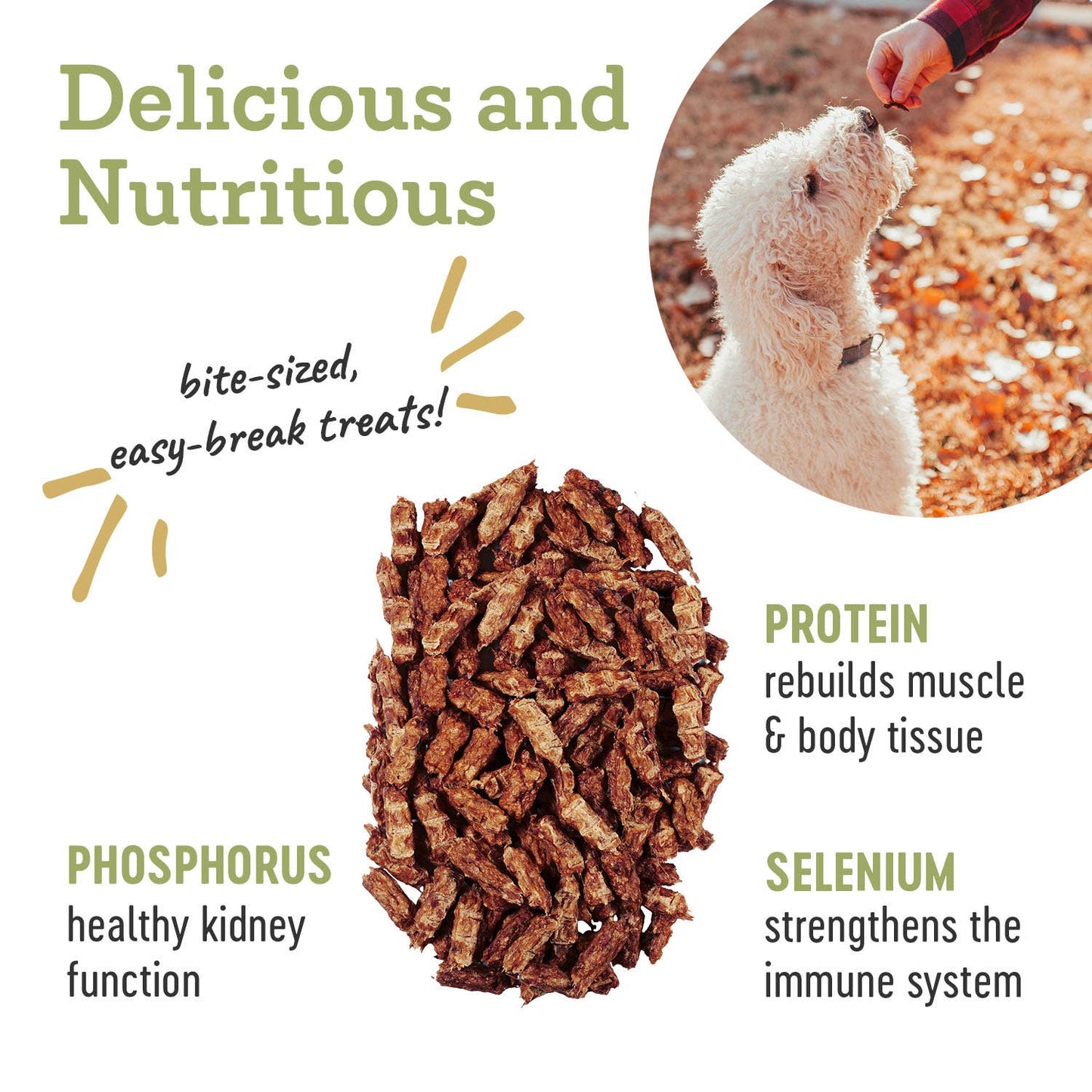 Farm Hounds - Duck Trainer - All-Natural Dog Treats - 4.5oz Image