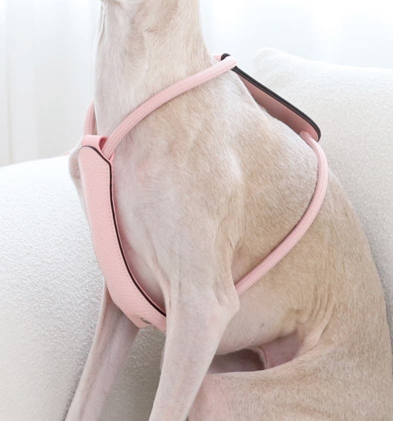 Hozi - Essential Harness - Pink Image