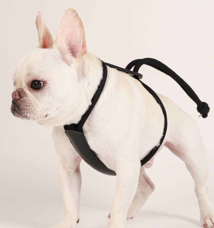 Hozi - [NEW] Essential Harness - Black Image