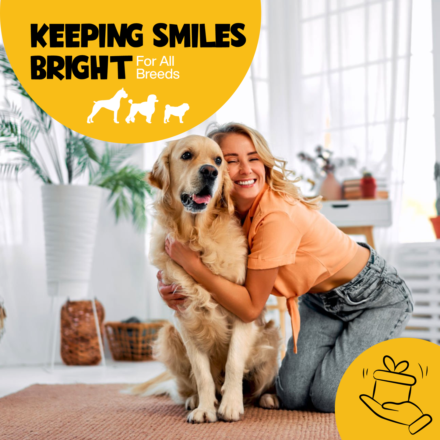 Roofus - Roofus Dental Wipes | Peanut Butter | 60ct Image