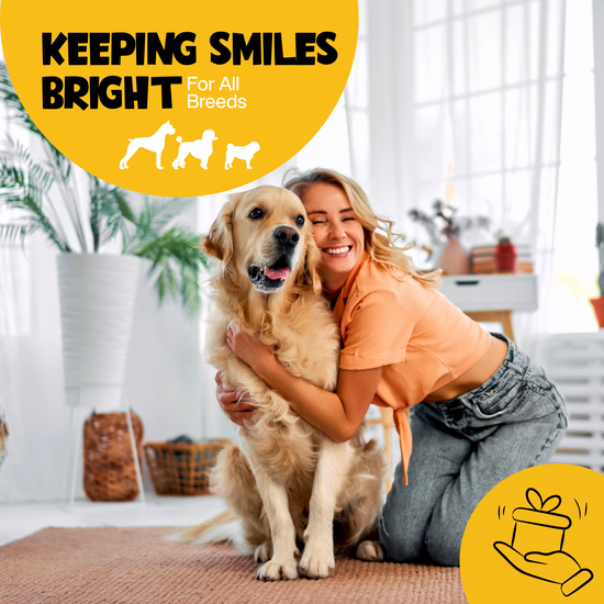 Roofus - Roofus Dental Wipes | Peanut Butter | 60ct Image