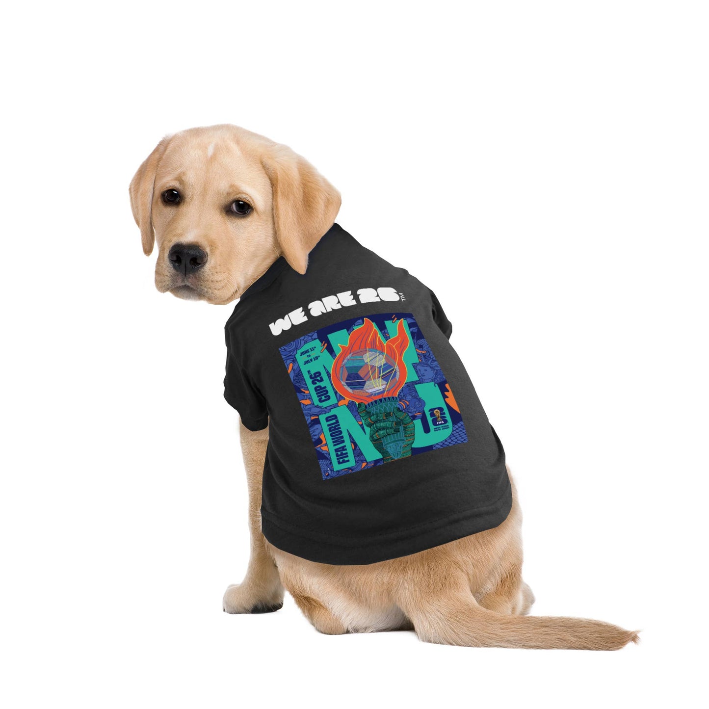 Little Earth Productions - 2026 FIFA World Cup Host City Pet T-Shirt Image