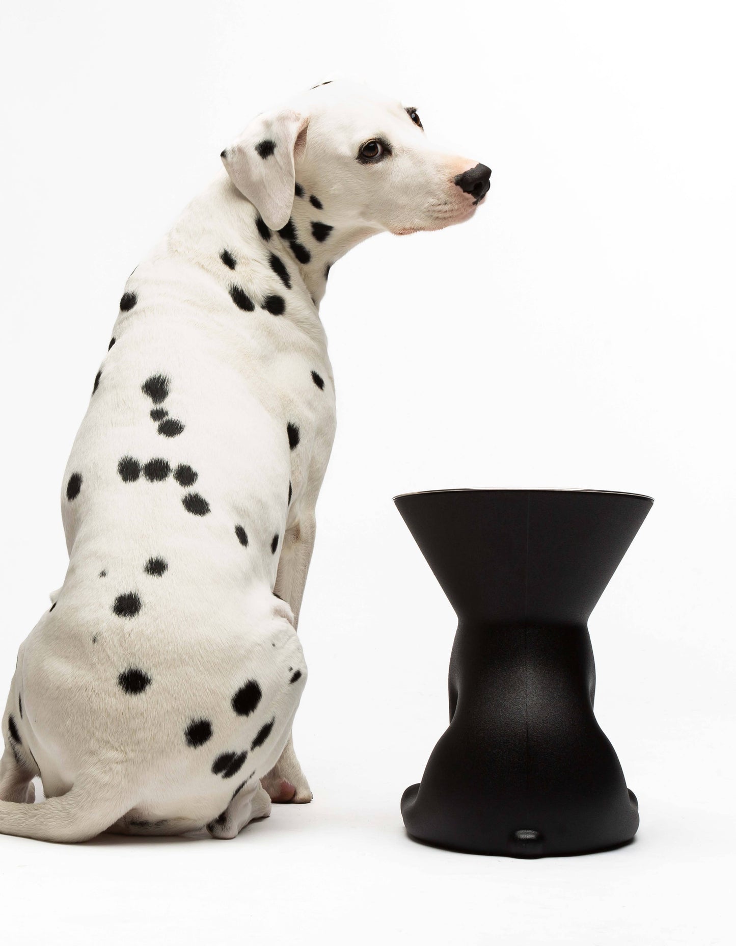 United Pets - Elizabeth: raised dog bowl