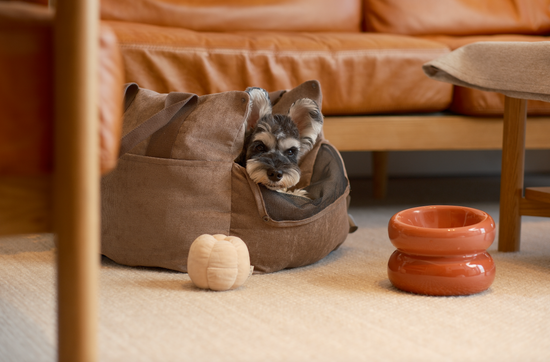 PEHOM - Soufflé Pet Bowl - Rose Pink Image