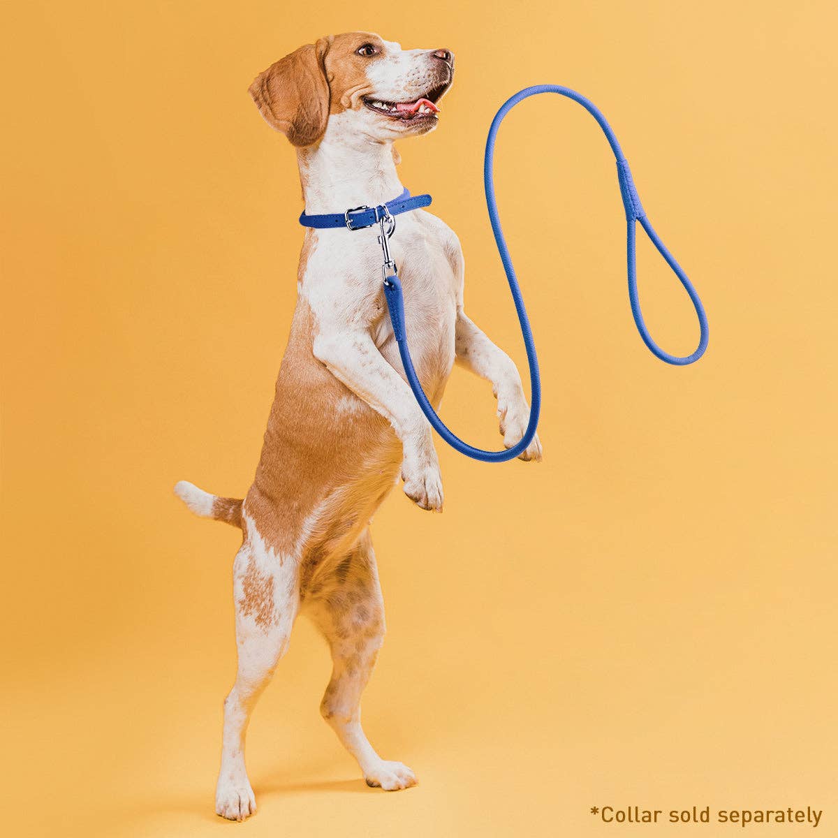 Dogline - Soft Leather Round Lead Image