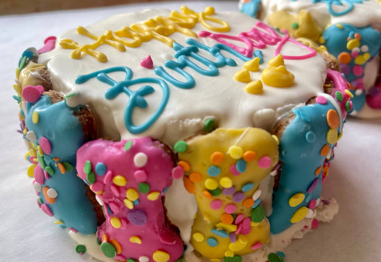 YumYum4DOGS - Confetti Mini Bones birthday doggie cake treats Image