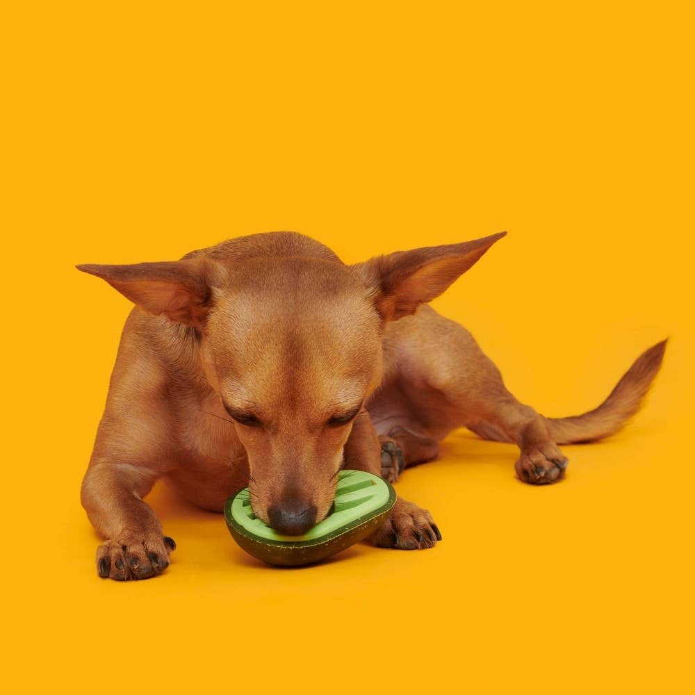BARK Avocadoggo Super Chewer Dog Toy  Image