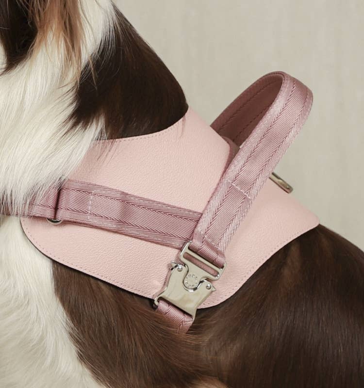 Hozi - Saddle Harness : Pink