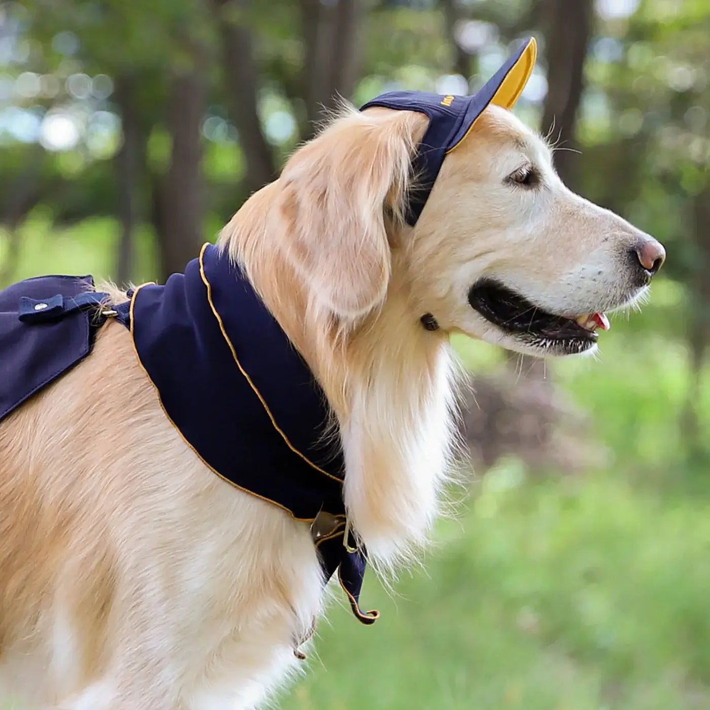 Hozi - Doggie Scarf : Navy Image