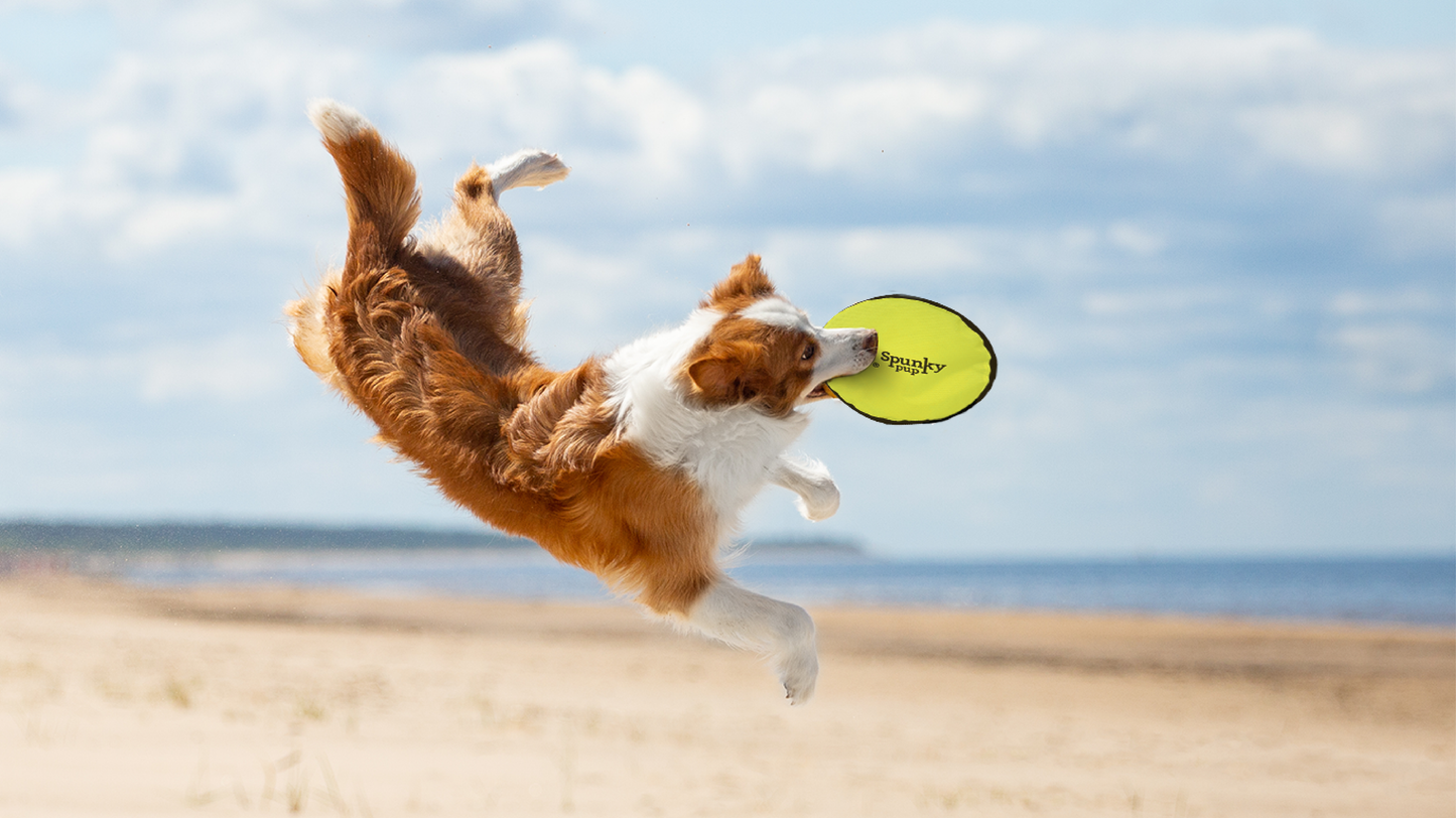Spunky Pup - Spunky Soft Disc