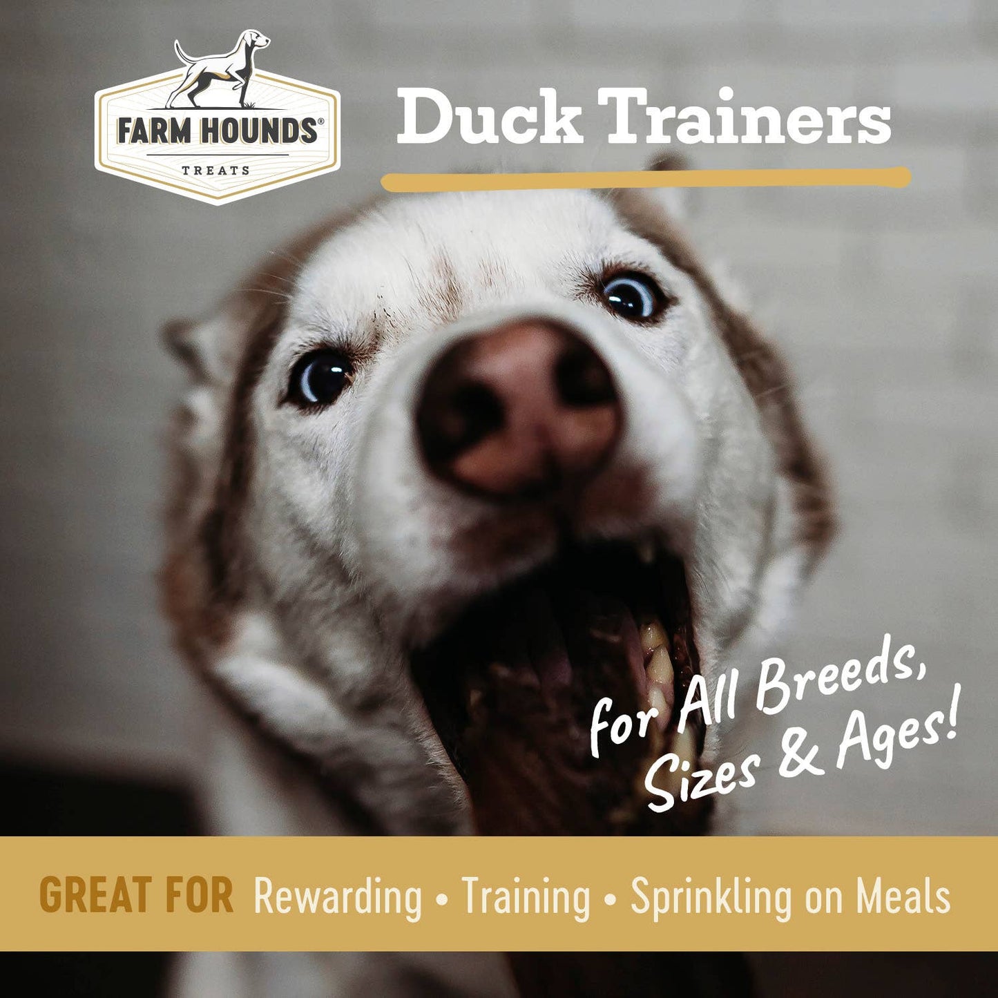 Farm Hounds - Duck Trainer - All-Natural Dog Treats - 4.5oz Image