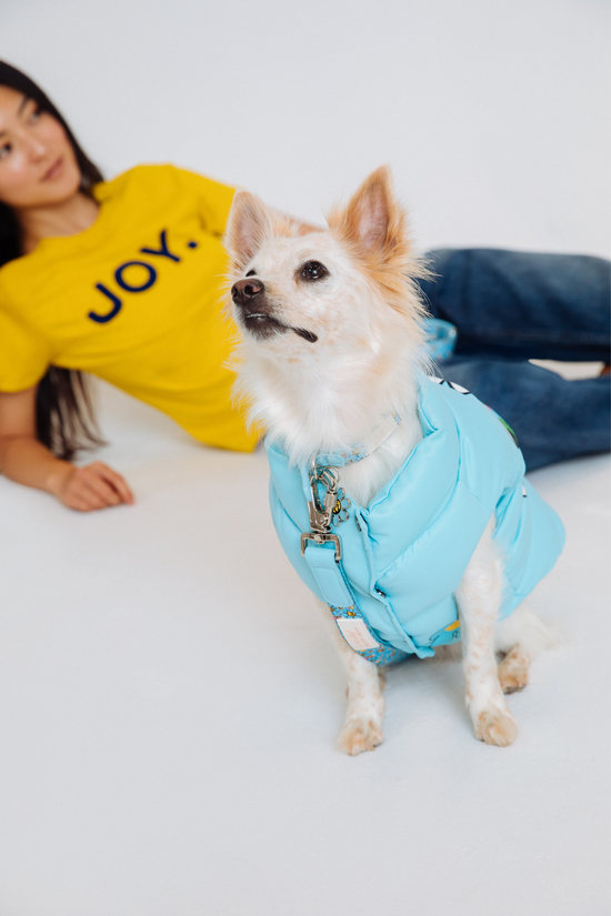 maxbone - Marc Jacobs x Hattie Stewart Puffer Dog Vest