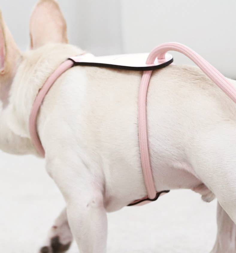Hozi - Essential Harness - Pink Image