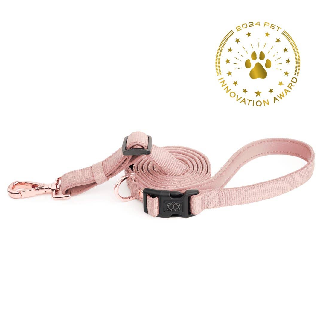 Dogistry™ - City Dog Leash - Blush Image