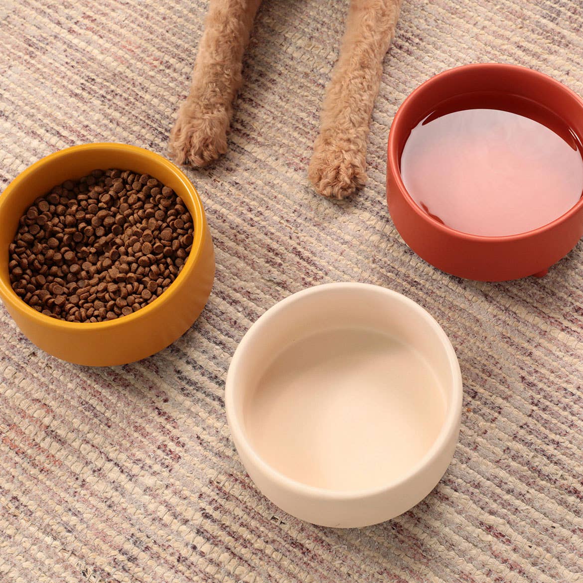 Waggo - Uplift Bowl Ceramic Dog Bowl Image