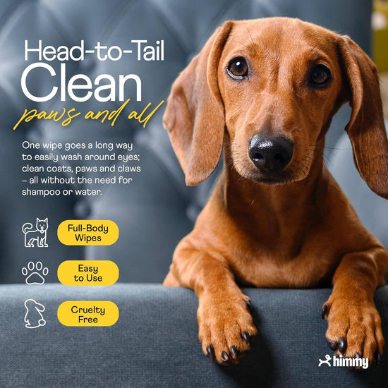 Load image into Gallery viewer, Katziela - Large Pet Wipes for Dogs and Cats  Image
