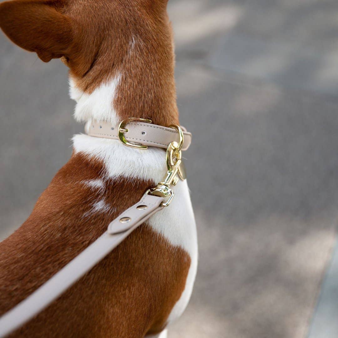 Nina Woof - Collar - Air Tag Enabled - Vegan Leather - Cupertino Image