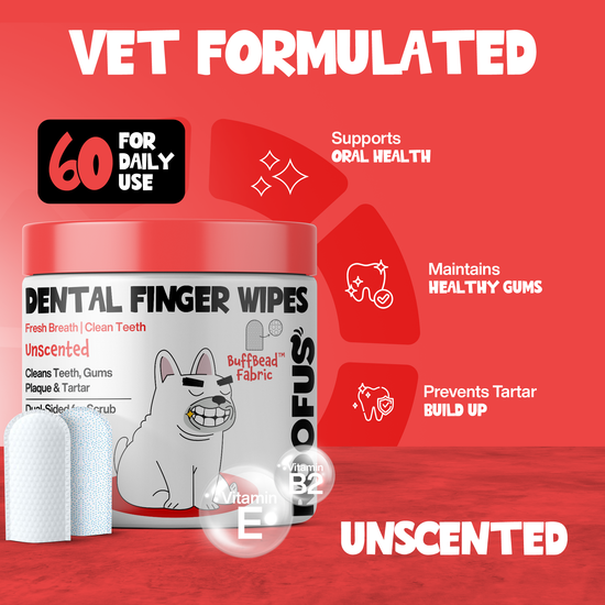 Roofus - Roofus Dental Wipes | Fragrance Free | 60ct Image