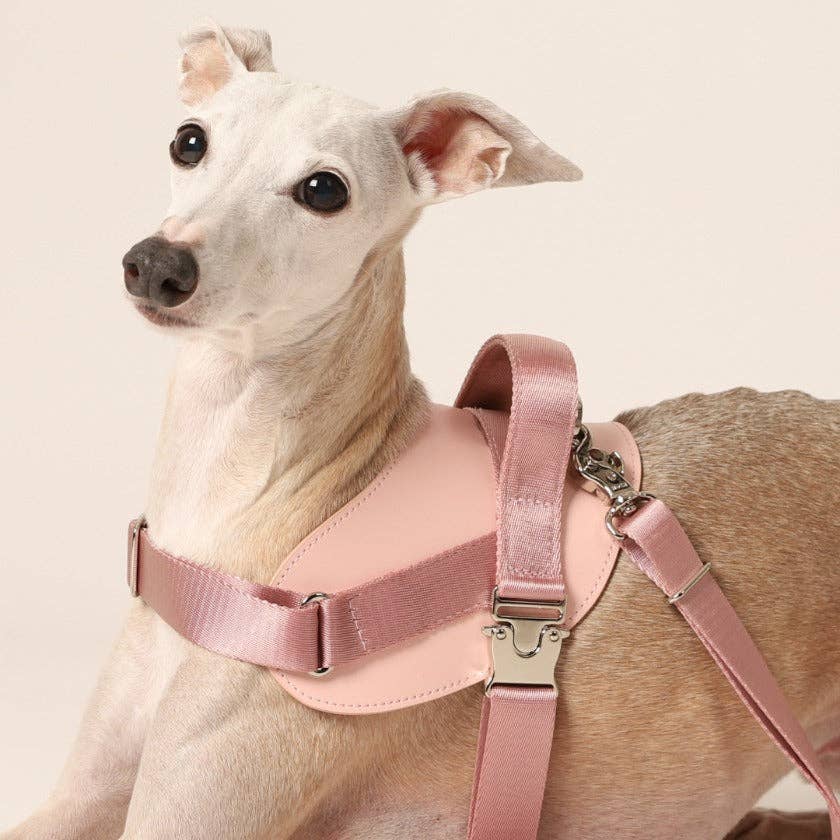 Hozi - Saddle Harness : Pink Image