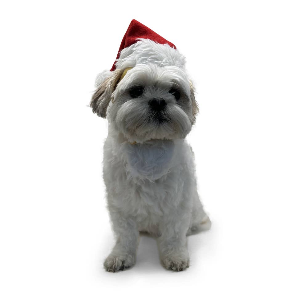Dogo Pet - Santa Hat Image