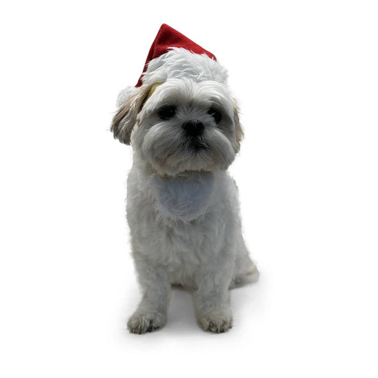 Dogo Pet - Santa Hat Image