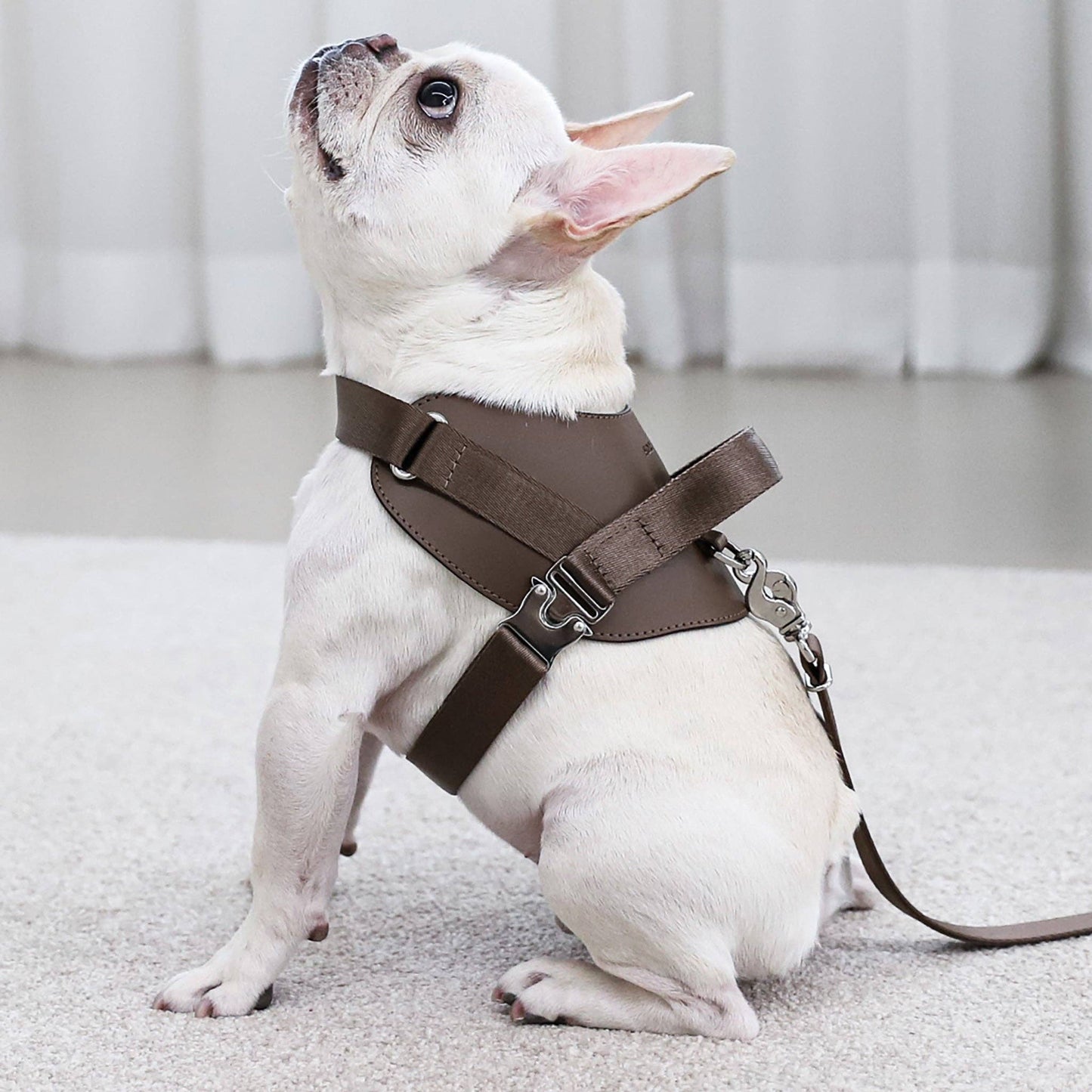 Hozi - Saddle Harness : Pink Image