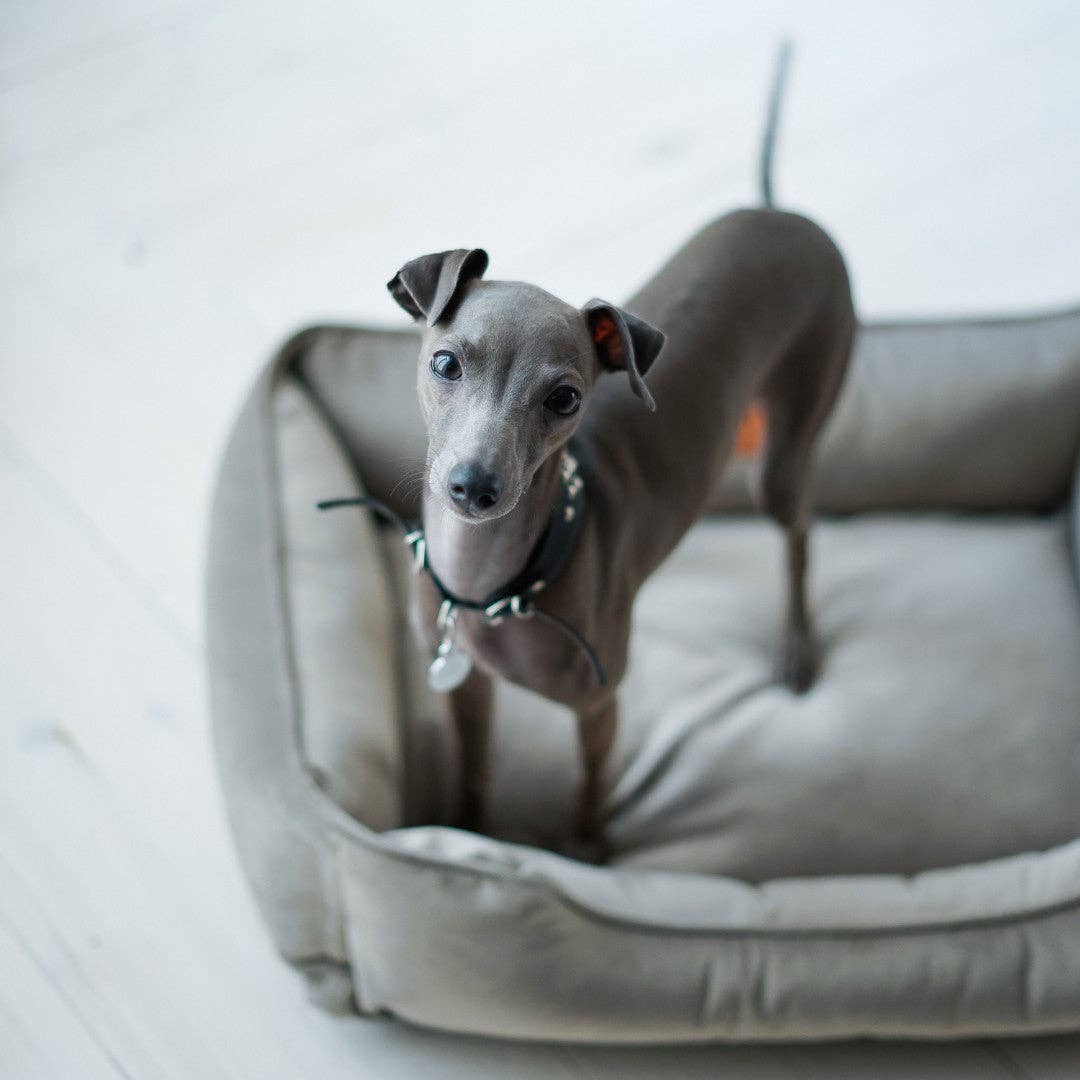 Chester & Lee - Classic Velvet Sleeper Dog Bed Gray Image