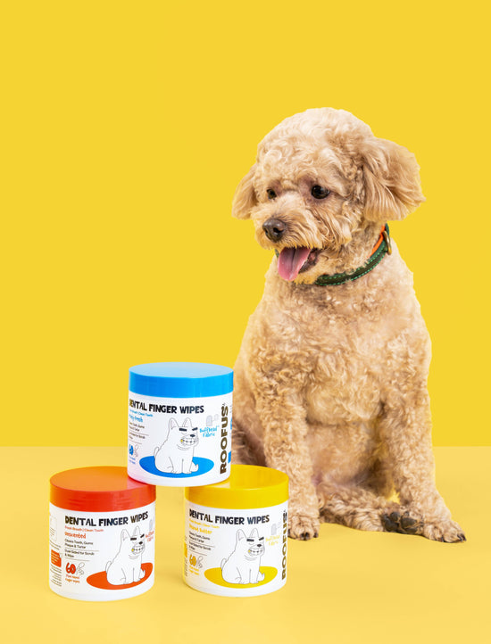 Roofus - Roofus Dental Wipes | Fragrance Free | 60ct Image