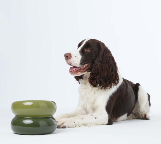 PEHOM - Soufflé Pet Bowl - Avocado Green Image