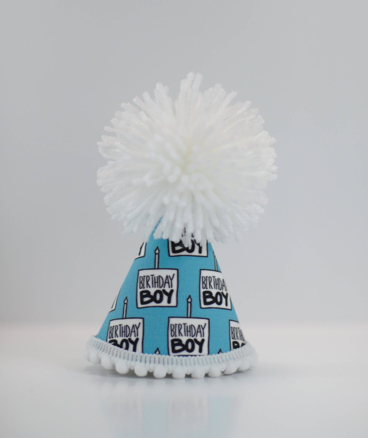 Pup Party Hats - Birthday Boy Black Ink Party Hat