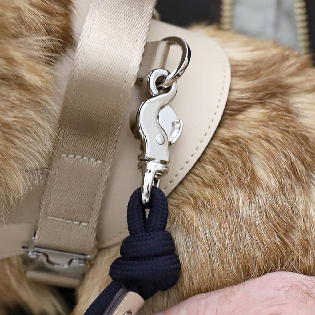 Hozi - [NEW] Essential Leash - Beige Image