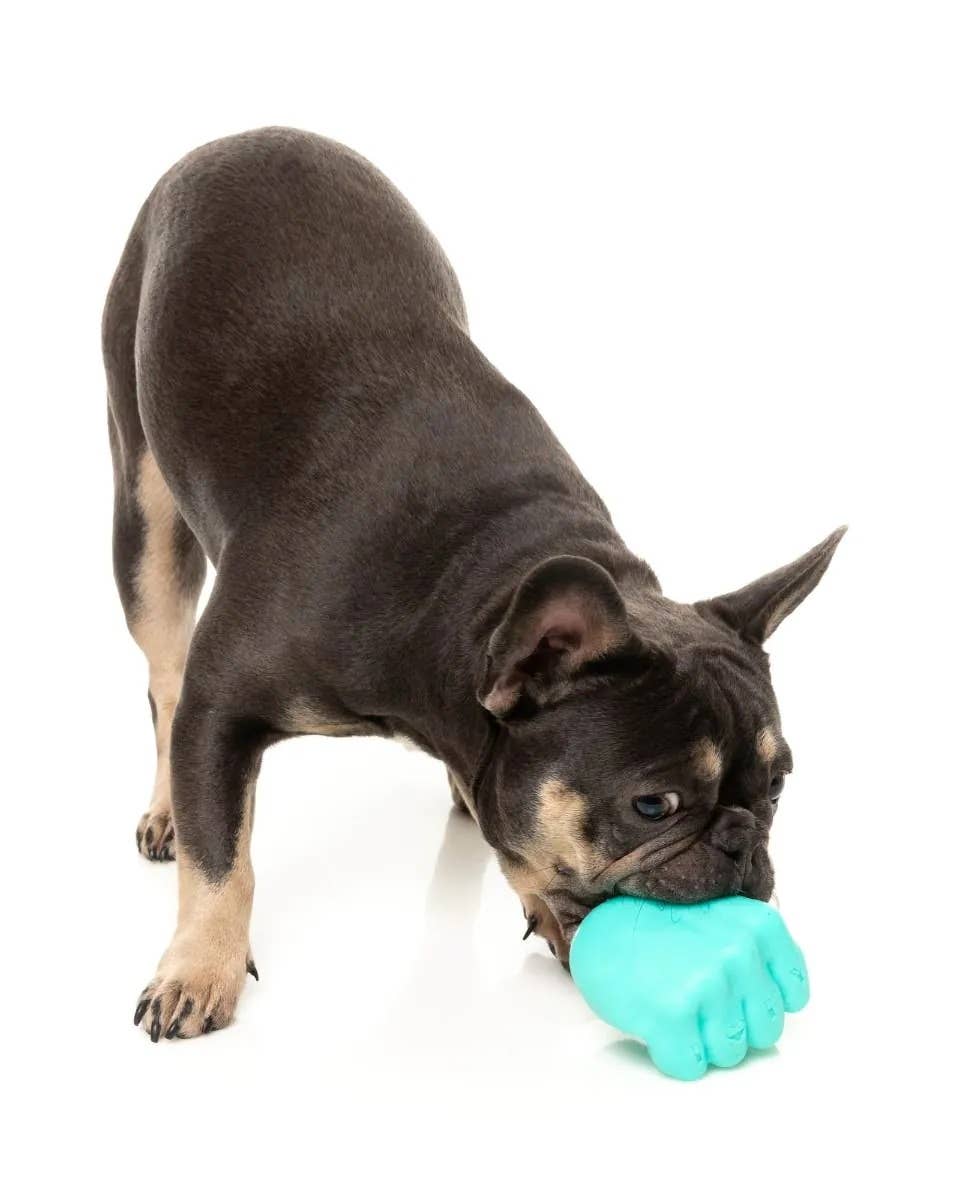 FuzzYard Knuckle Sandwich Dog Chew Toy Image