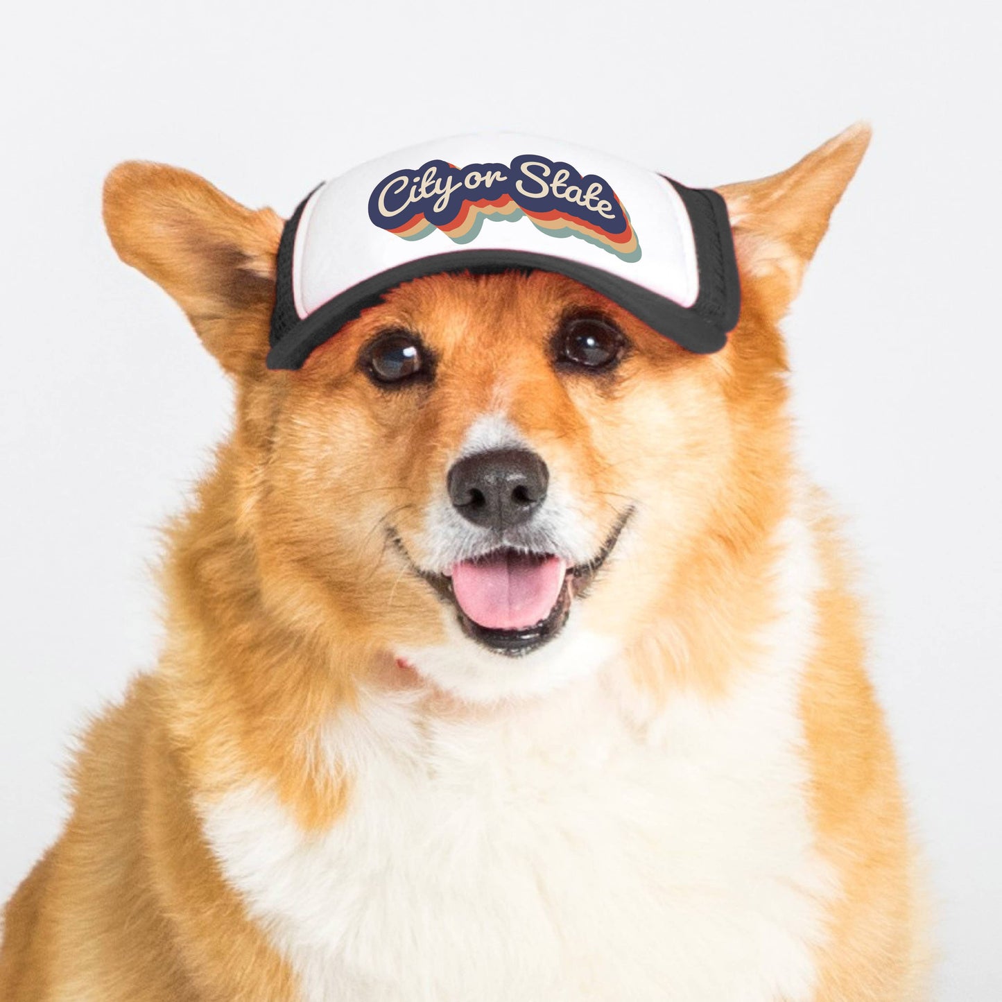 PupLid - Custom Retro Text | Trucker Hat for Dogs M Image