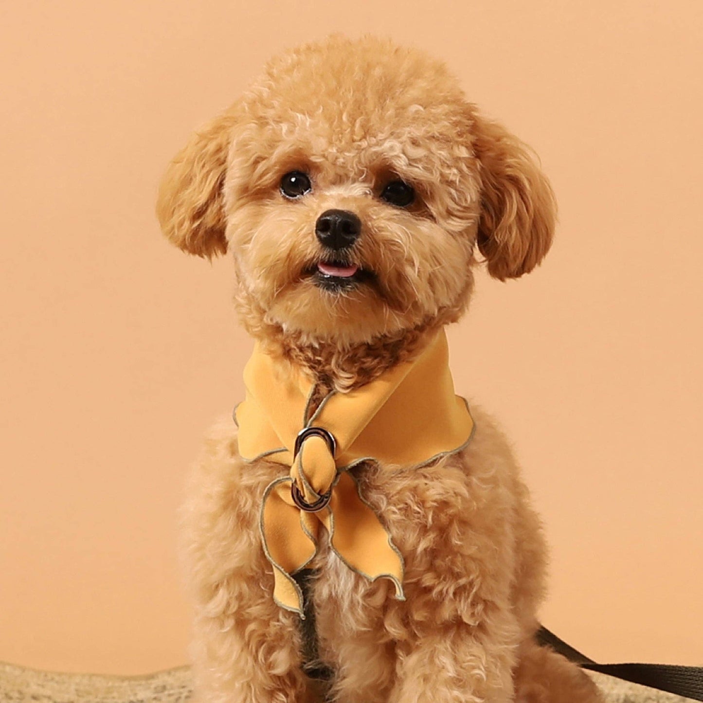 Hozi - Doggie Scarf : Mustard Image