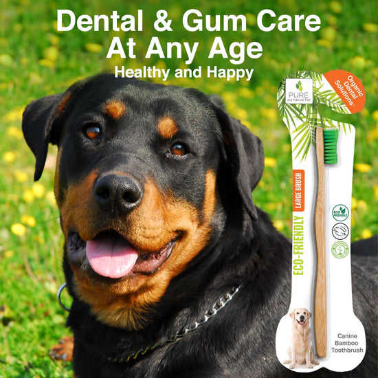 Pure and Natural Pet - Organic Dental Bamboo Toothbrush for Dogs - Large  Image