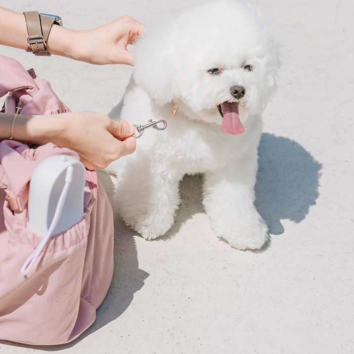 Pups & Bubs - Snuggle Petite Pet Carrier 2.0 | For Small Dogs & Cats Image