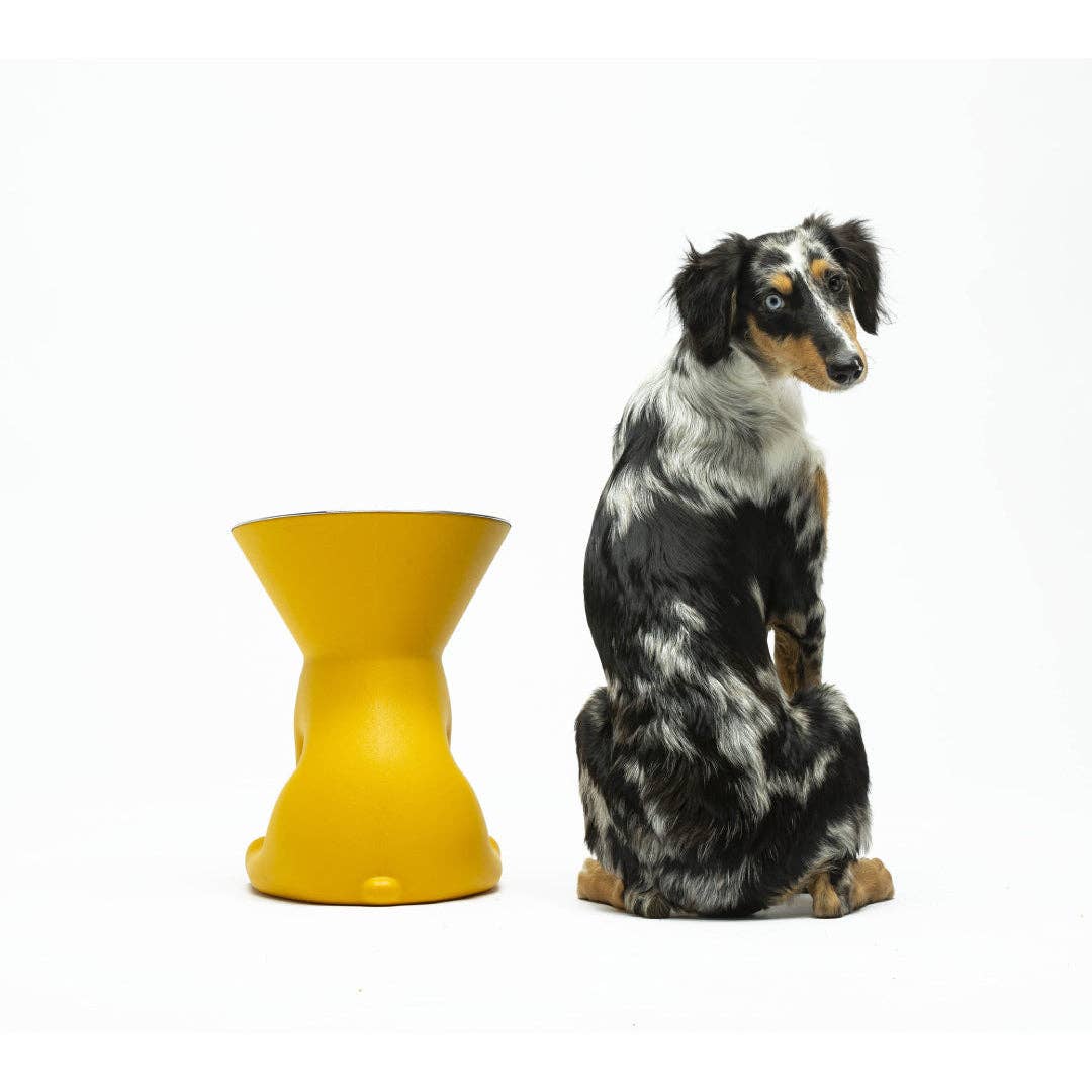 Puppy Gallery - ELIZABETH - The Queen of Dog Bowl Image