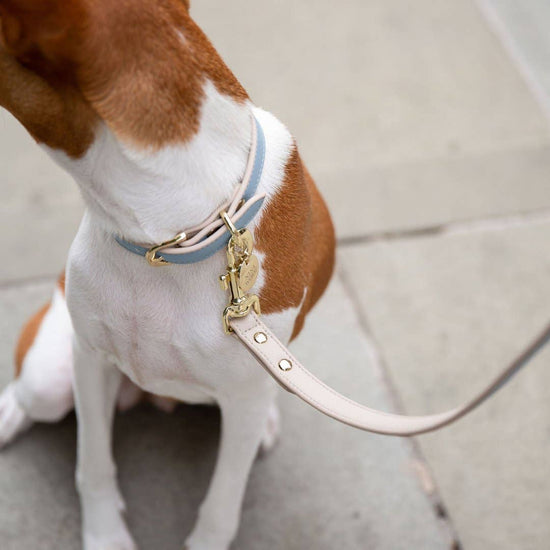 Nina Woof - Leash 4ft - Vegan Leather - Cupertino Image