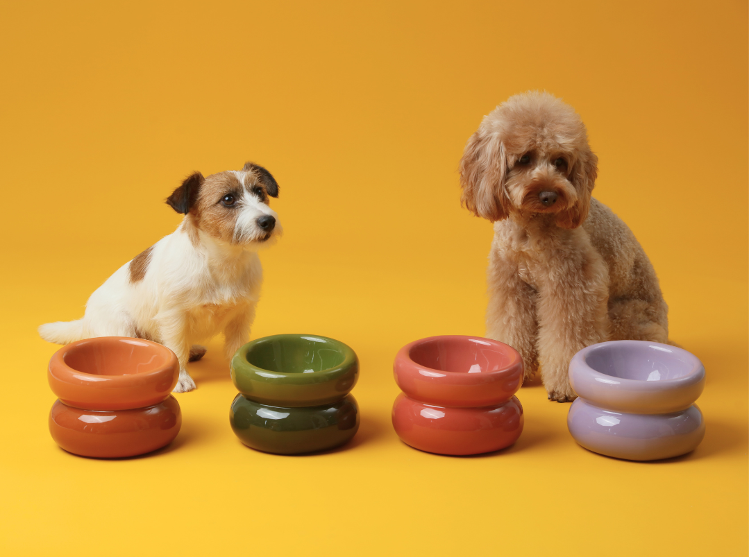 PEHOM - Soufflé Pet Bowl - Purple Image