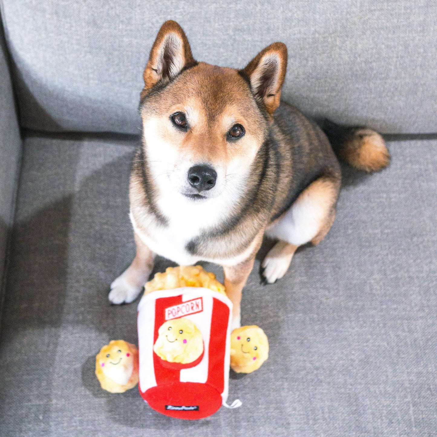 Pet Palette Distribution - ZippyPaws Zippy Burrow Popcorn Bucket