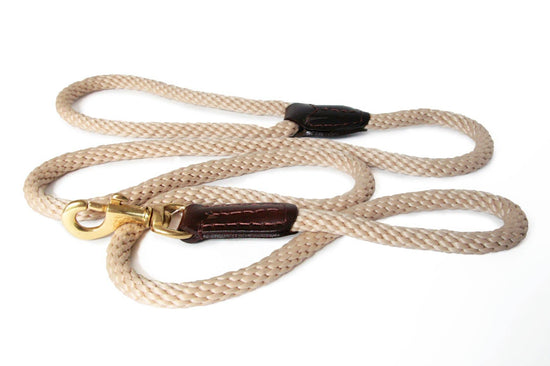 Alvalley - Rope and Leather Snap Lead Image