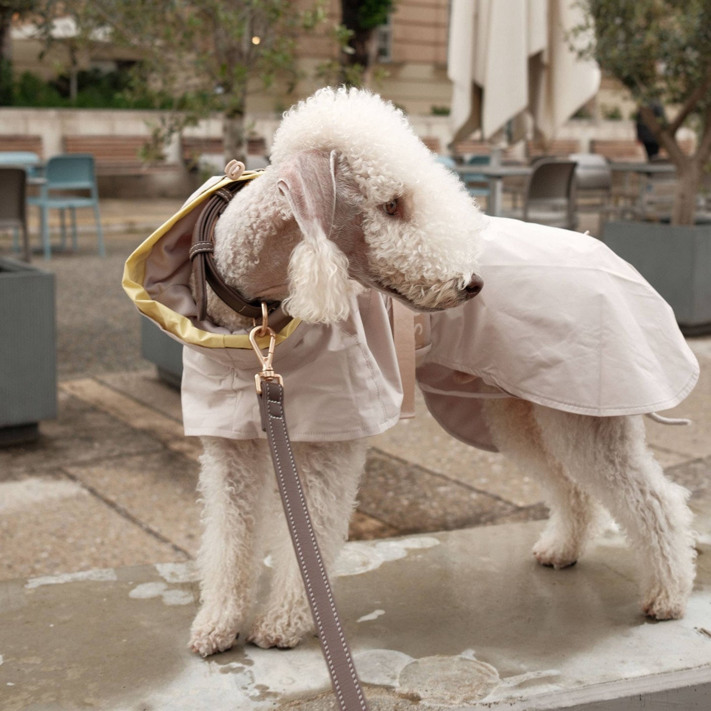 Pups & Bubs - Lumi Raincoat Image