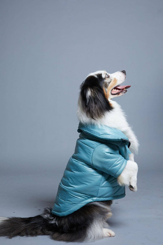 maxbone - Glossy Puffer Jacket Image
