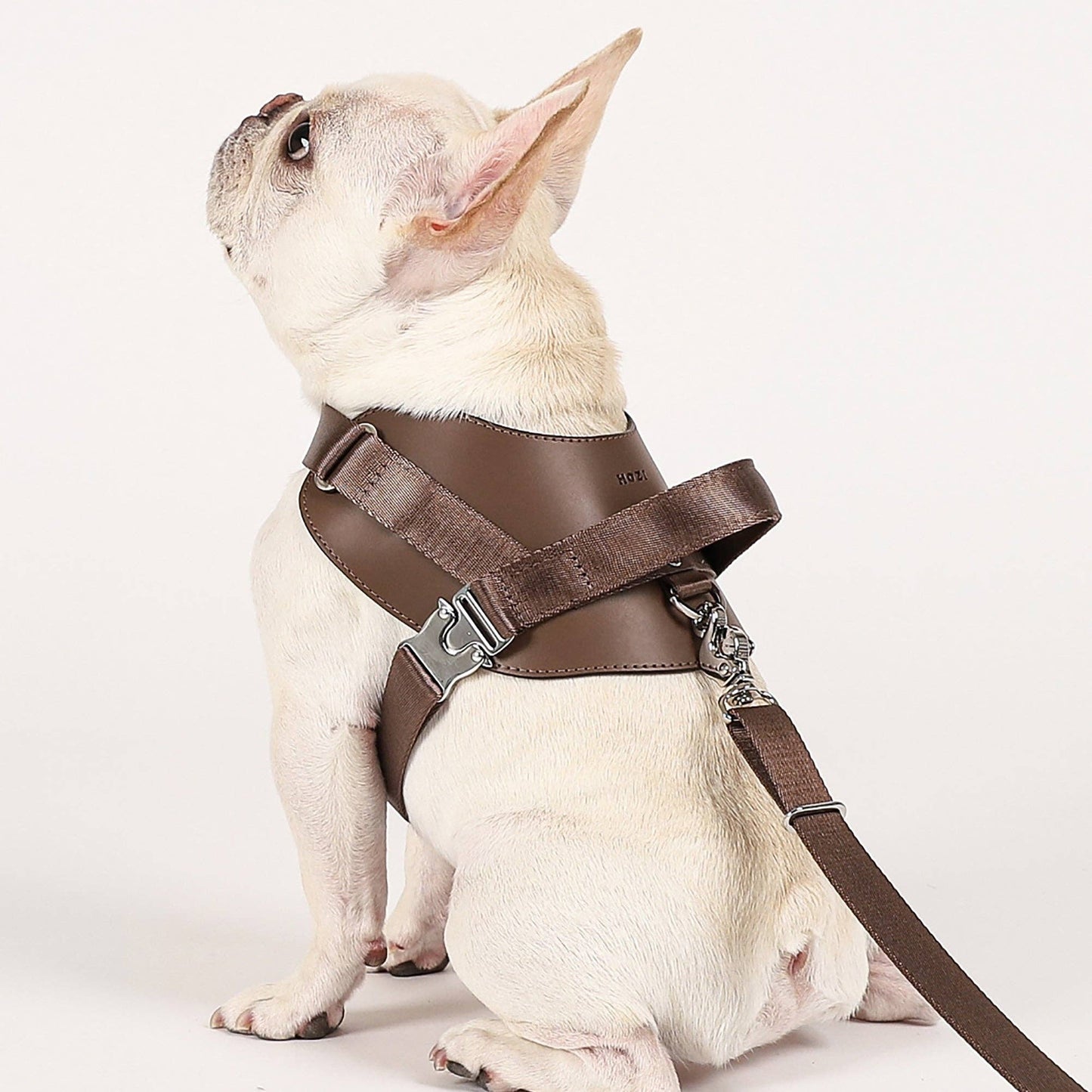 Hozi - Saddle Hands-free Leash : Pink Image