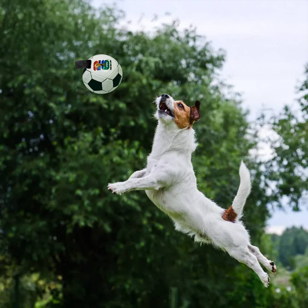 Little Earth Productions - 2026 FIFA World Cup Soccer Ball Pet Toy Image