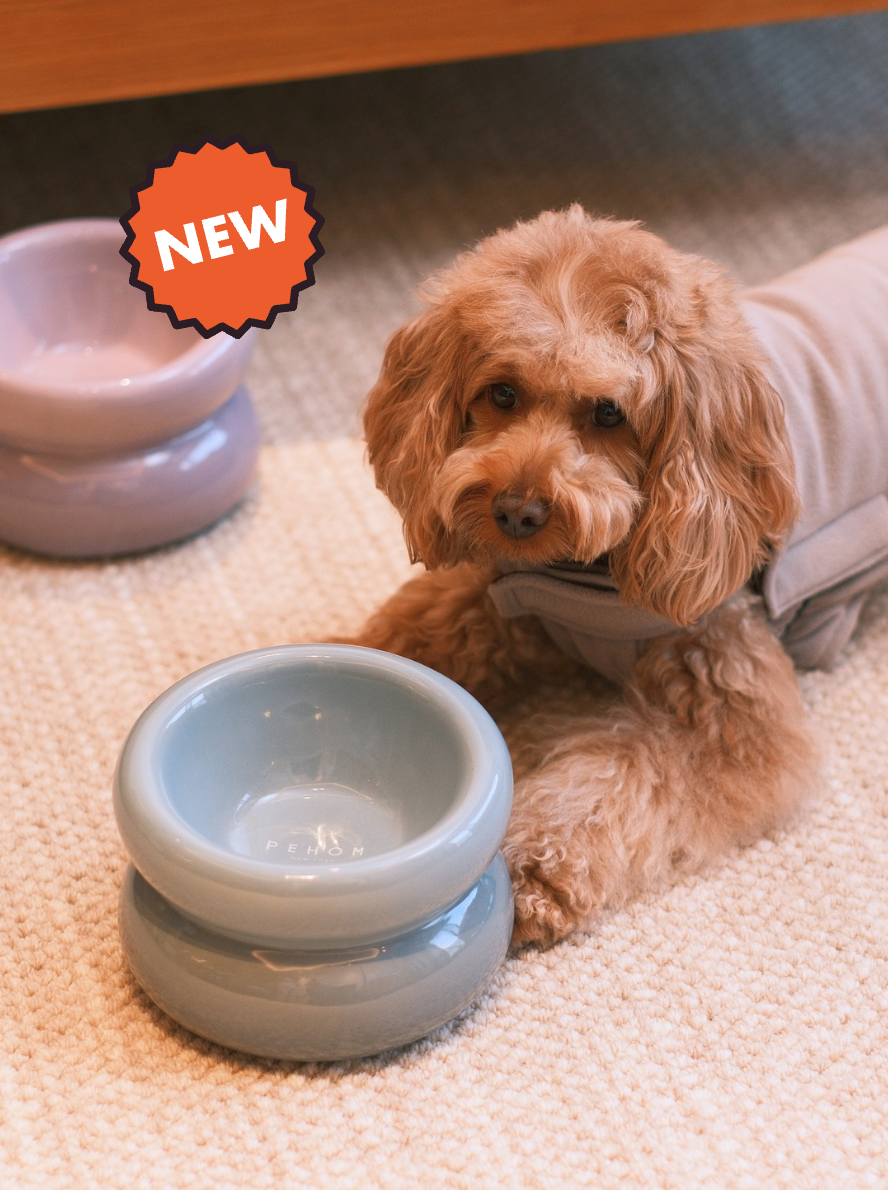 PEHOM - Soufflé Pet Bowl - Frozen Blue Image