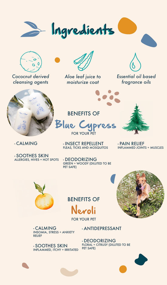 Pure + Good - Dog & Cat Shampoo: Blue Cypress + Neroli Image