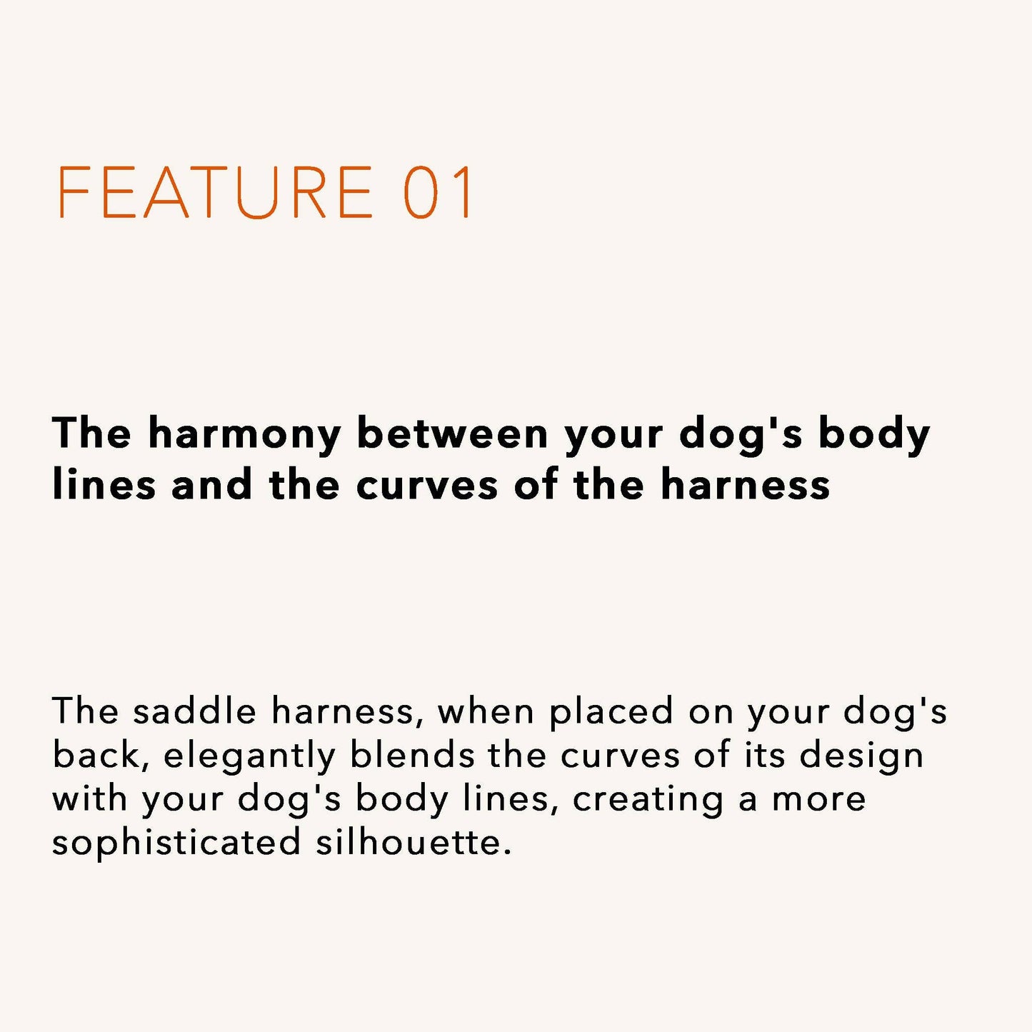 Hozi - Saddle Harness : Pink Image