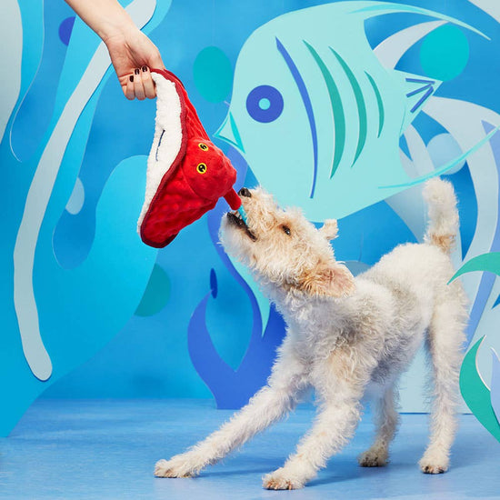 Pet Palette Distribution - BARK Sting Crosby the Ray Image